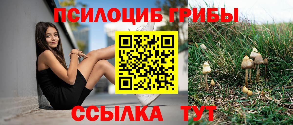 Псилоцибиновые грибы мицелий Аксай