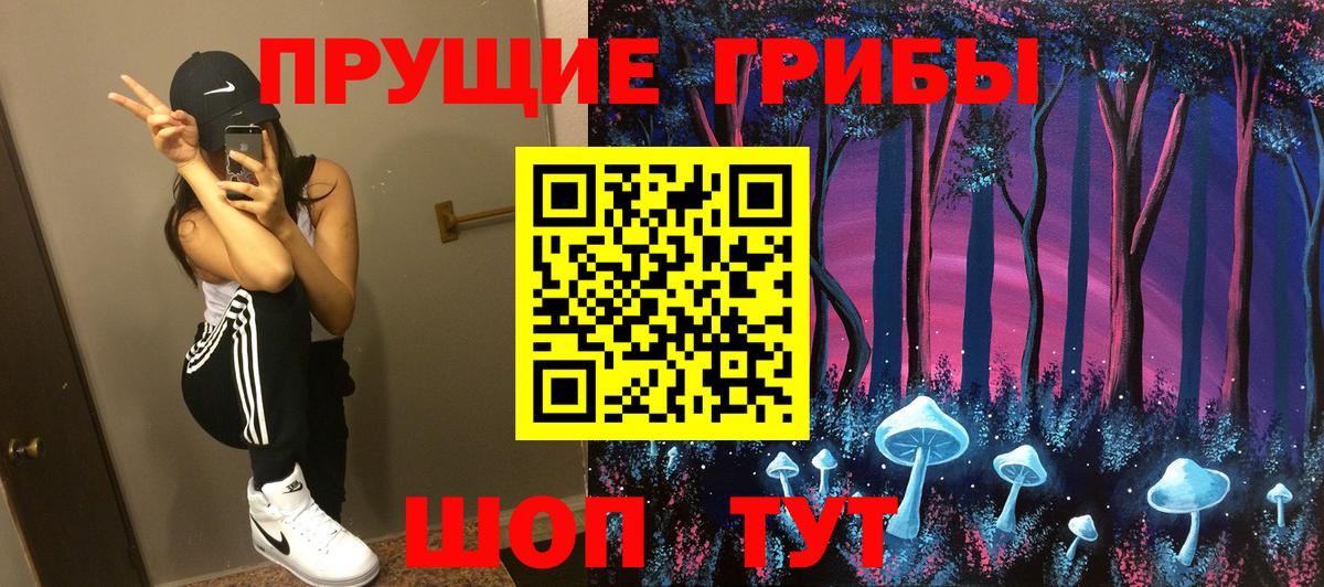 Псилоцибиновые грибы GOLDEN TEACHER  Вход с VPN  Аксай 